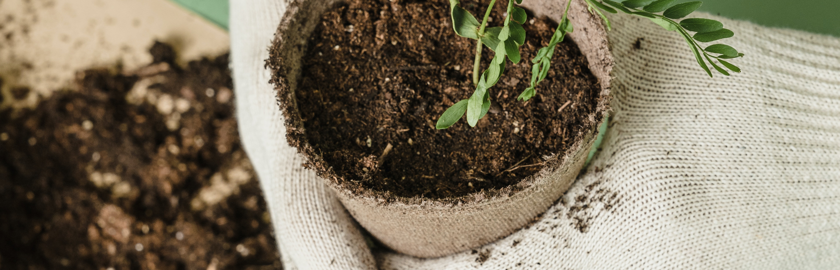 Wisdom House خانه خرد