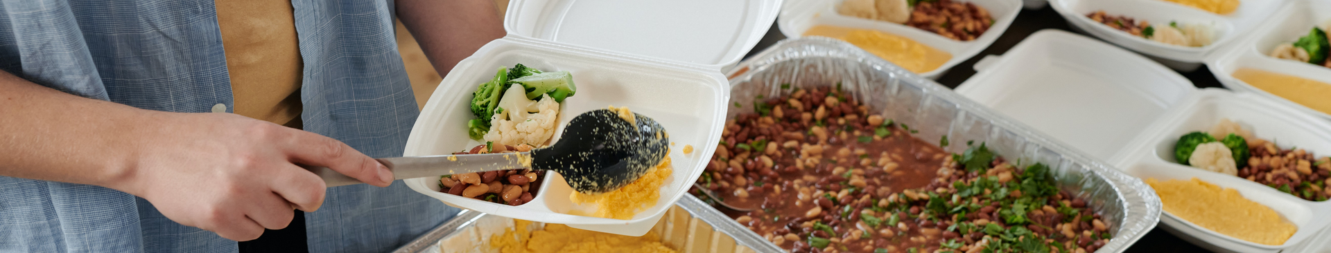 Wisdom House خانه خرد